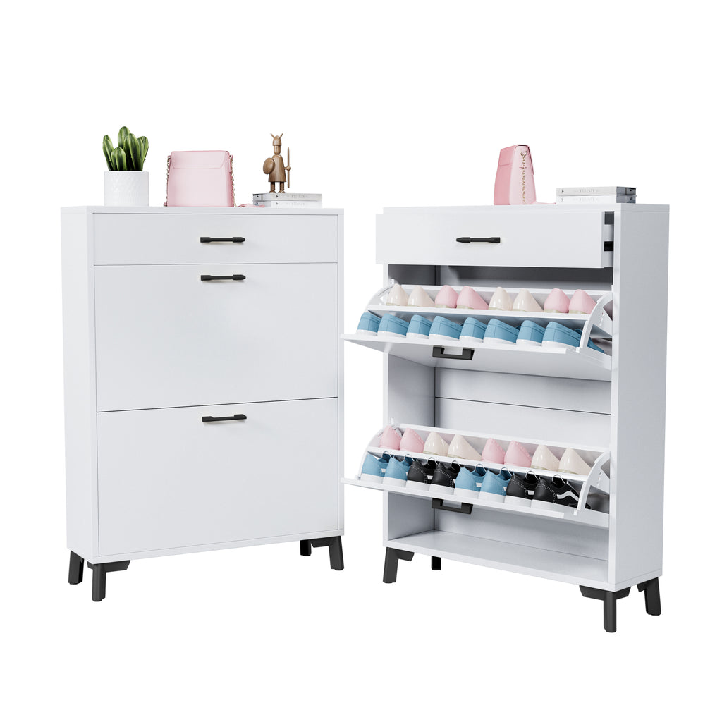 2-Drawer Entryway Shoe Storage Cabinet