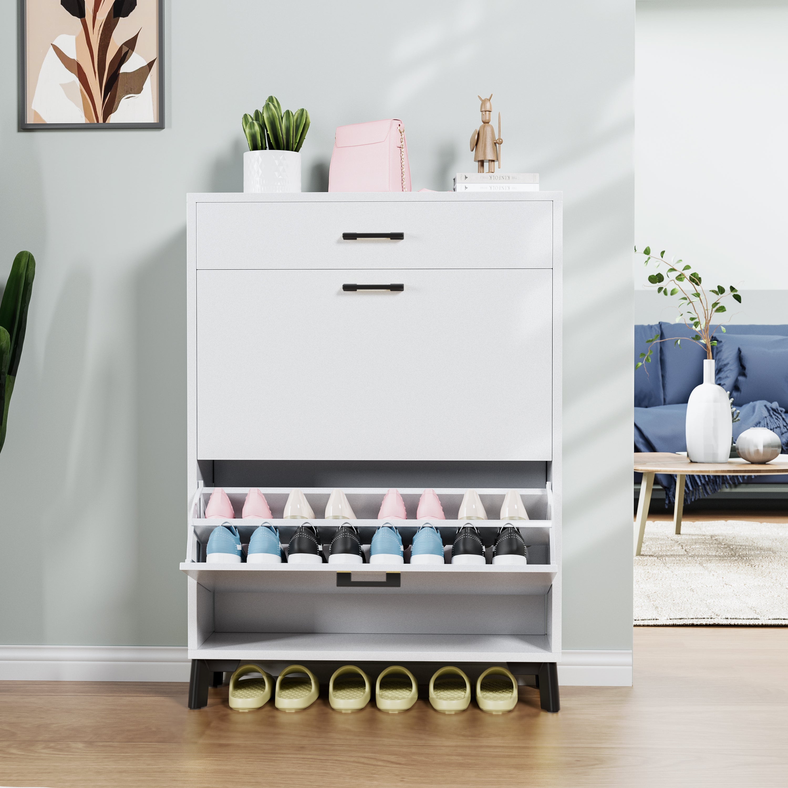 2-Drawer Entryway Shoe Storage Cabinet