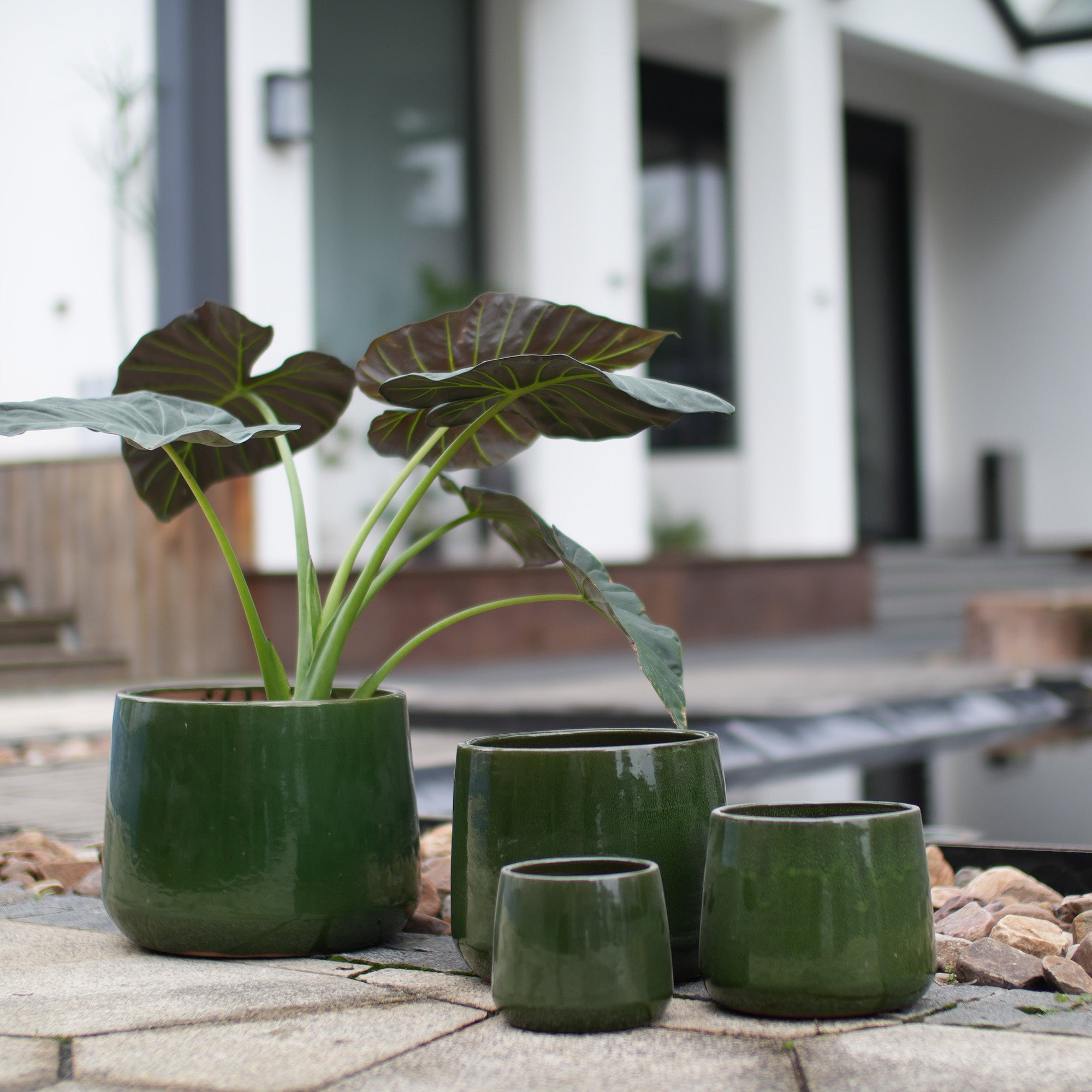 Handmade Solid Glazed Ceramic Planter Set of 4, 14/11/9/7 Inch Diameter, Deep Green – view 2