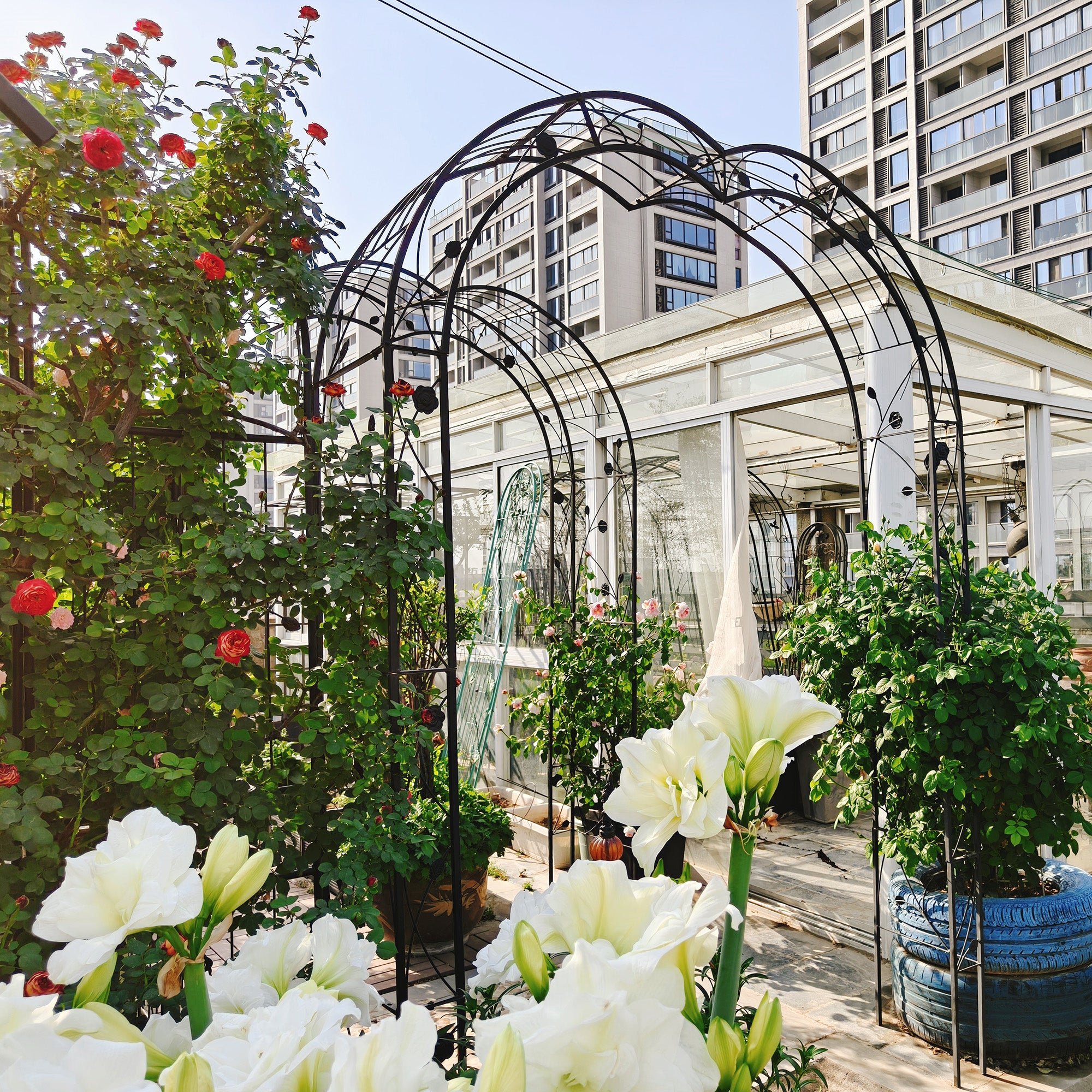 Metal Garden Arch Assemble Freely with 8 Styles Garden Arbor Trellis Climbing Plants – view 11