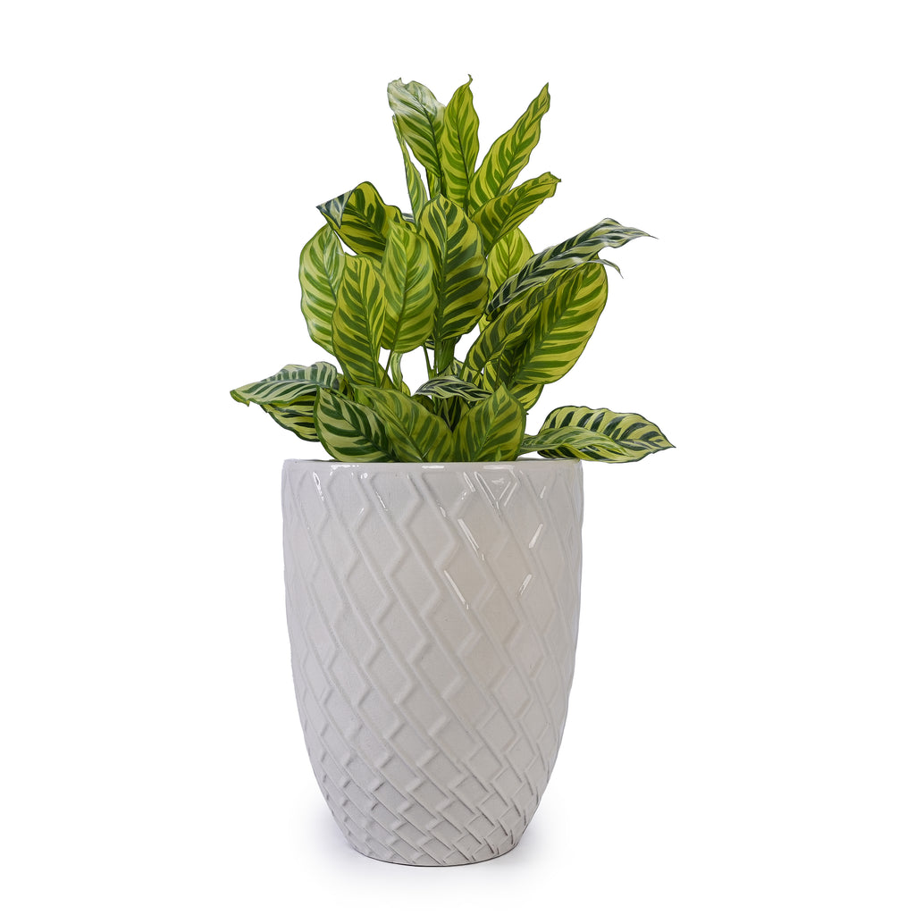 Handmade Ceramic Planter Pot, 17 Inch Diameter, 1 Piece, Cream White with Diamond Pattern, for Monstera Deliciosa and Fiddle Leaf Fig, Indoor/Outdoor Doorway Use, Breathable Clay