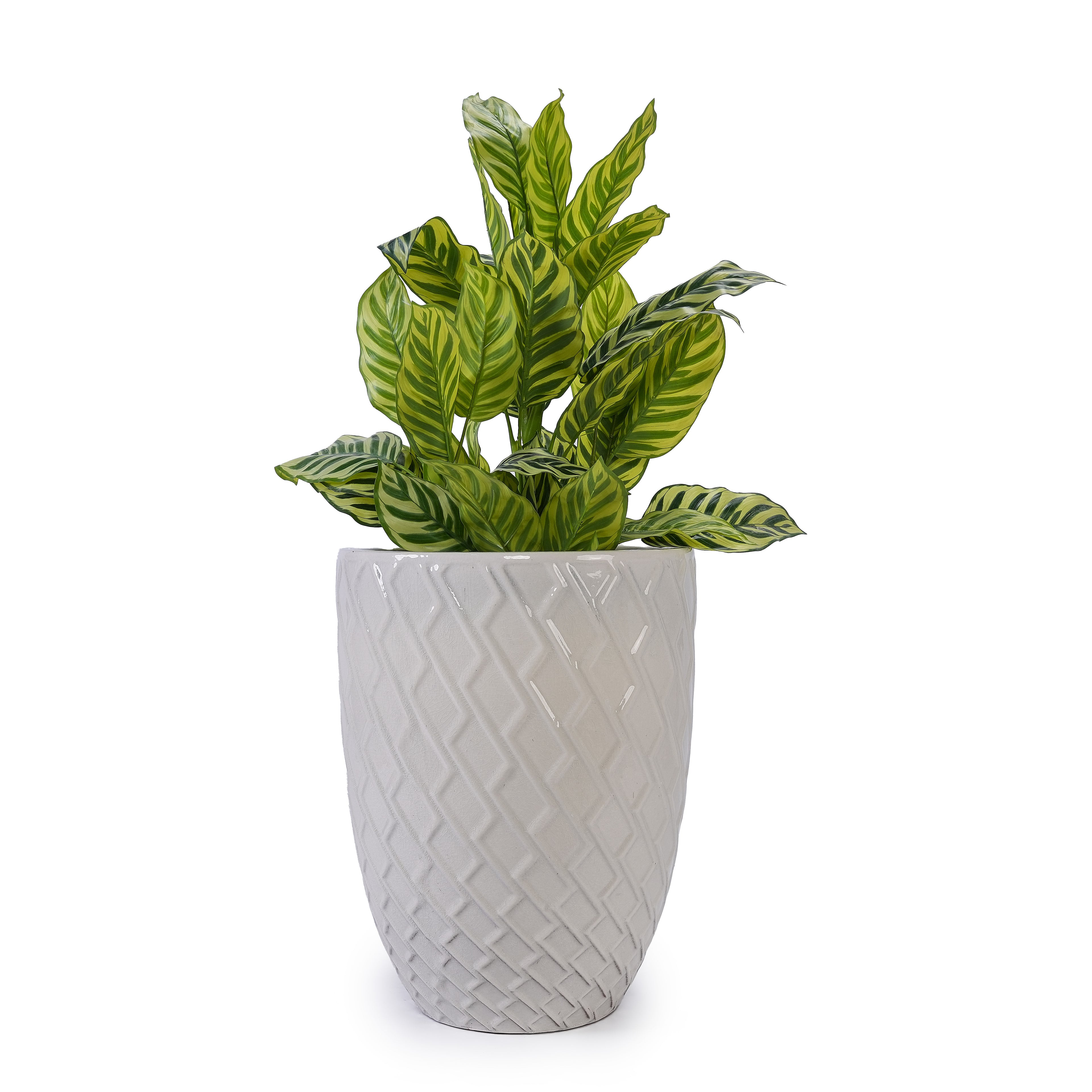 Handmade Ceramic Planter Pot, 17 Inch Diameter, 1 Piece, Cream White with Diamond Pattern, for Monstera Deliciosa and Fiddle Leaf Fig, Indoor/Outdoor Doorway Use, Breathable Clay