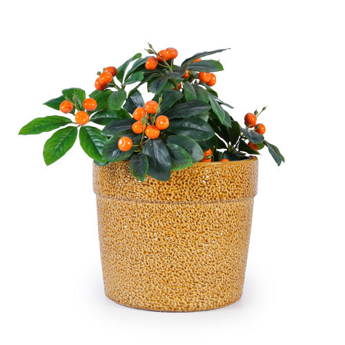 Handmade Ceramic Planter Set of 3, 15/12/9 Inch Diameter,  for Succulents & Indoor Plants, Windowsill & Bookshelf Use, Breathable Clay , Breathable Clay
