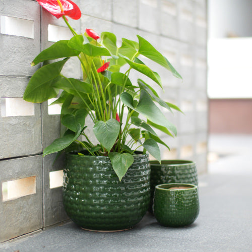 Handmade Glazed Ceramic Planter Set of 3, 9/7/5 Inch Diameter, Dark Green Solid Glossy Finish, for Succulents & Herbs Outdoor Patio & Indoor Staircase Use, Breathable Clay with Drainage Holes